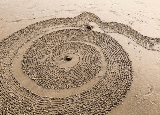 Life Spiral