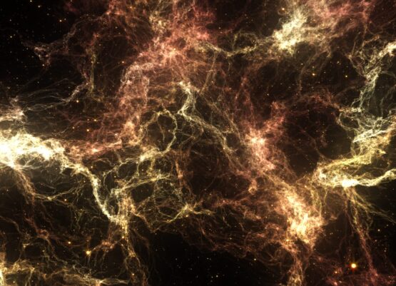 Cosmos